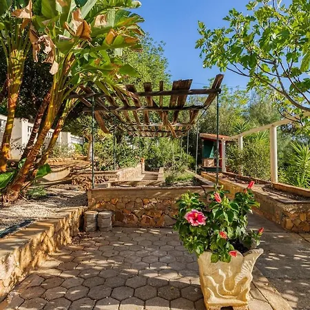 Jasmine Appartement Portimão